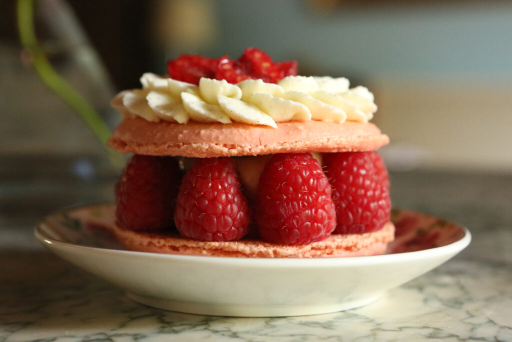 macaron géant à la framboise
